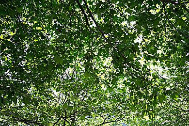 《极限竞速》新作封面图公布 将在Xbox发布会上展示