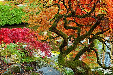 另一家动视暴雪工作室Proletariat正在组建工会